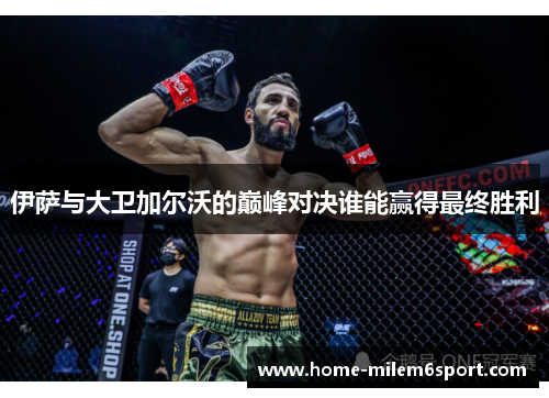 伊萨与大卫加尔沃的巅峰对决谁能赢得最终胜利